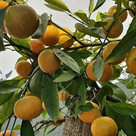 Апартаменты By The Sea - 22397 *