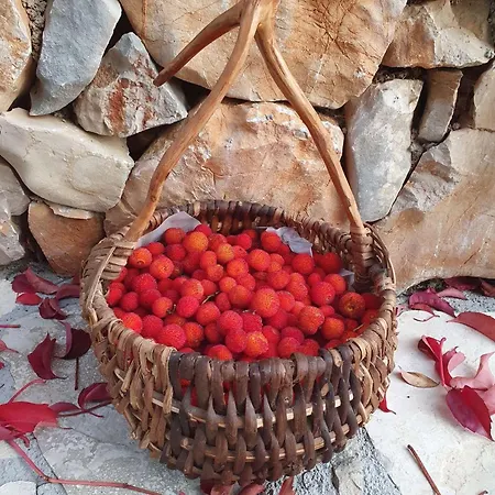 By The Sea - 22397 شقة