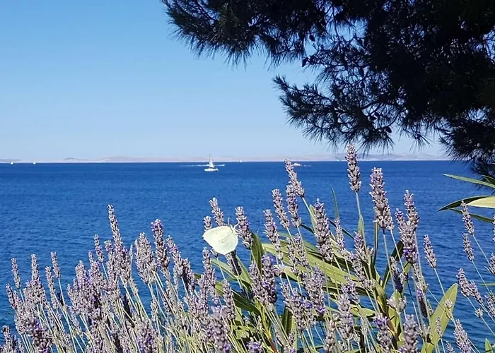 Apartman By The Sea - 22397 Murter