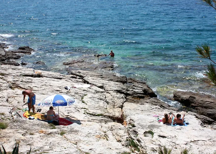 Apartman By The Sea - 22397 Murter