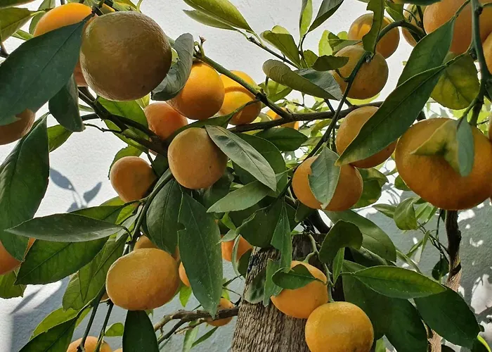 Апартаменты By The Sea - 22397 *