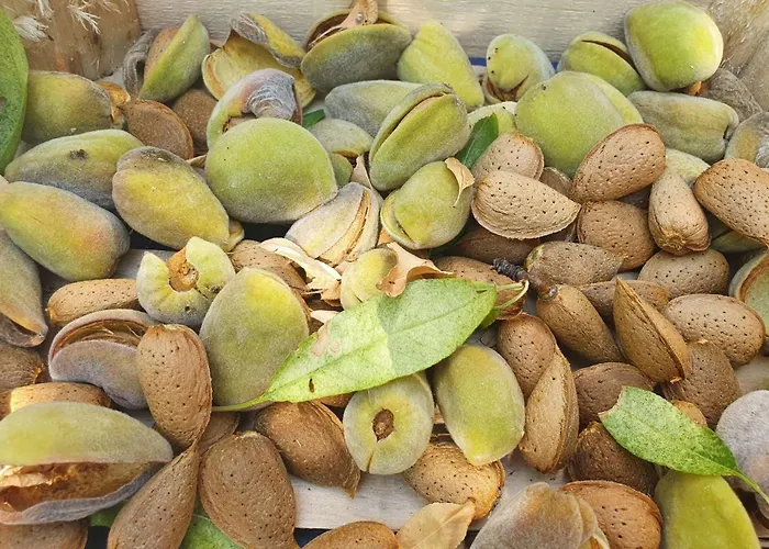 By The Sea - 22397 *