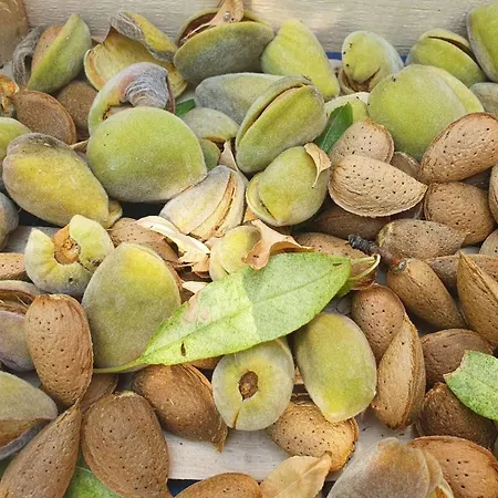 By The Sea - 22397 *