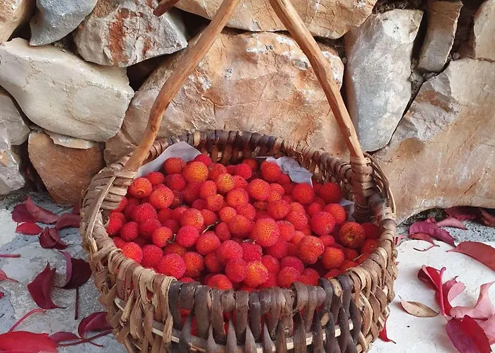 By The Sea - 22397 Daire